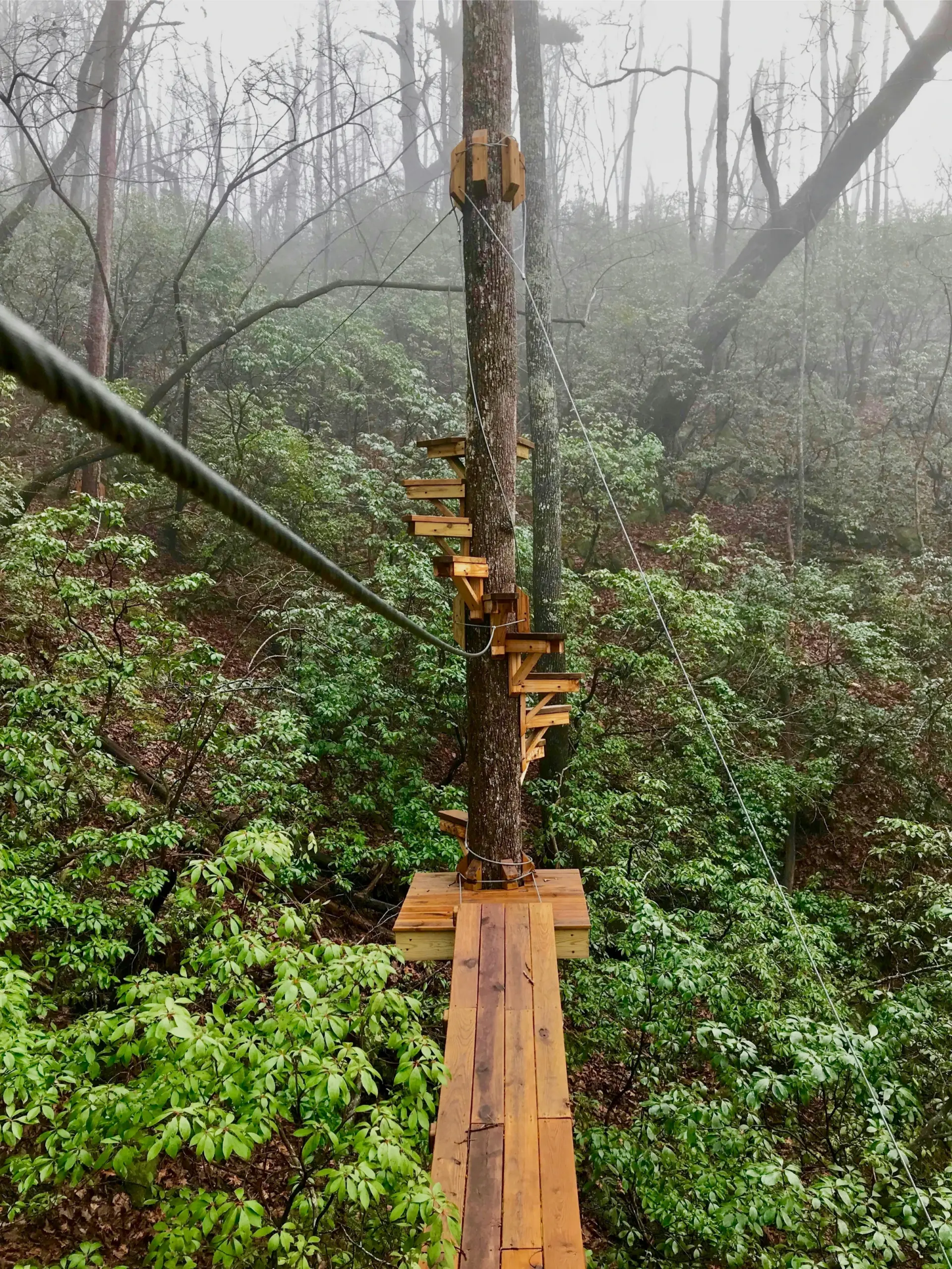 Parcours d’aventure dans les arbres à Donaclaudre